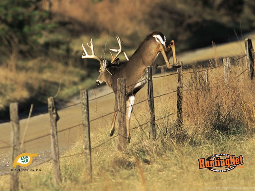 Hunting Desktop Wallpapers Images Tbwnz.com