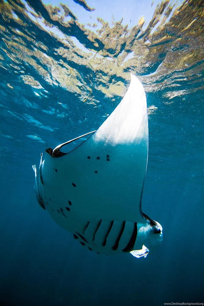 Travel & Underwater Photography By Tommy Schultz