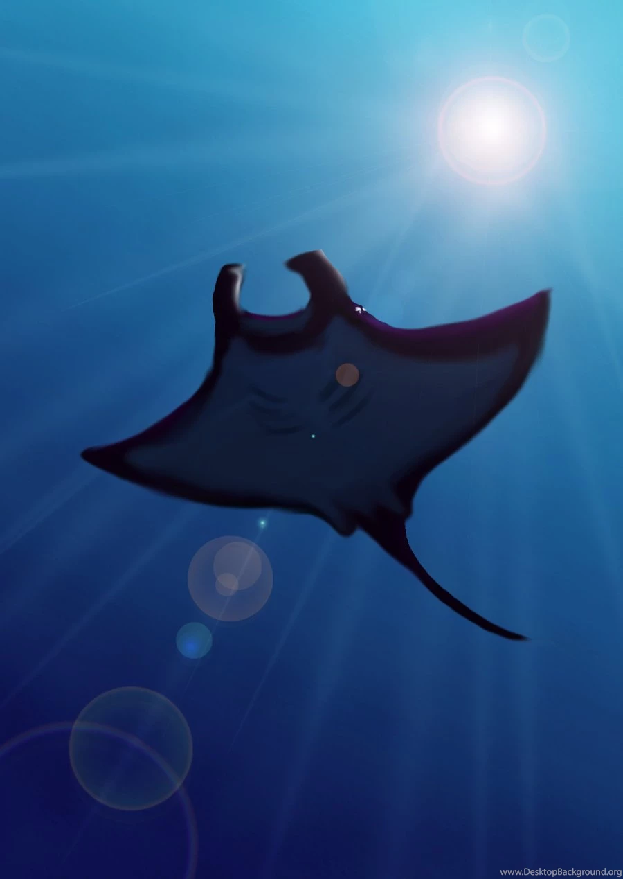 026. Manta Ray By Jennyraepip On DeviantArt