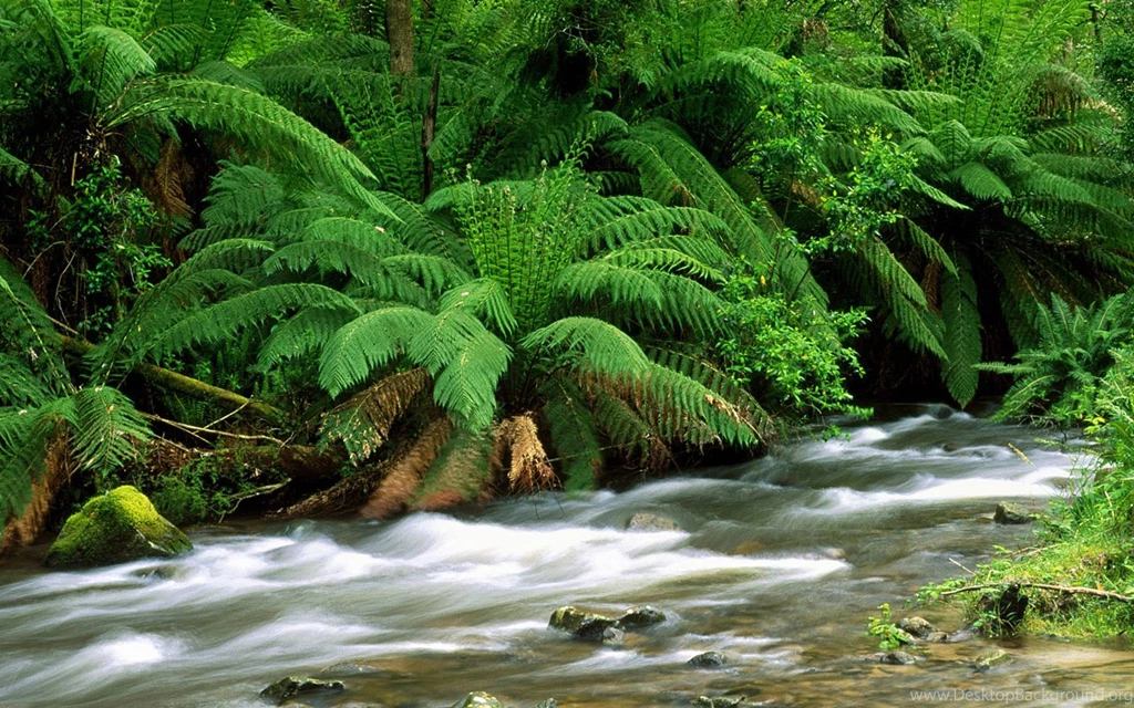 Beautiful Scenes Wallpaper Images
