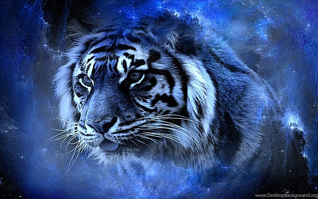 Tiger Beauty Awesome Blue Cool Gorgeous Lovely Nice HD Wallpapers ...