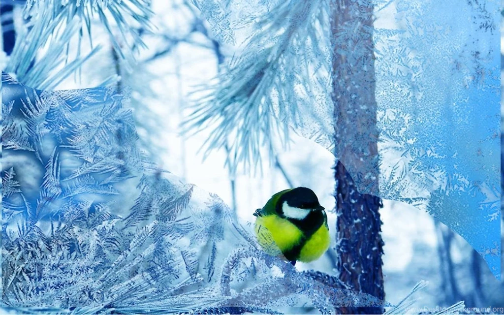 Snowfall Forest Live Wallpapers Android Apps And Tests AndroidPIT