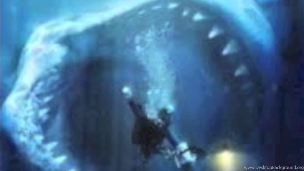 1 Of The Best Shark Pictures YouTube
