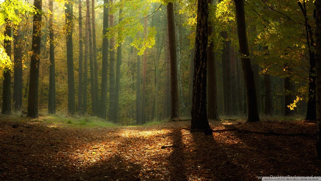 Serene Autumn Landscape Wallpapers MixHD Wallpapers