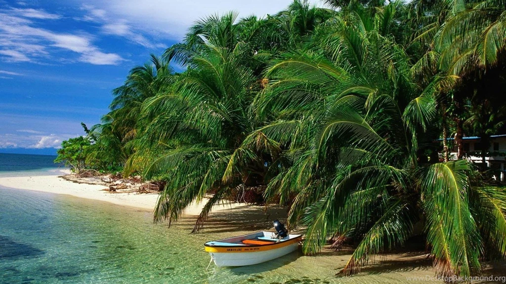 Gone Fishing Wallpapers (