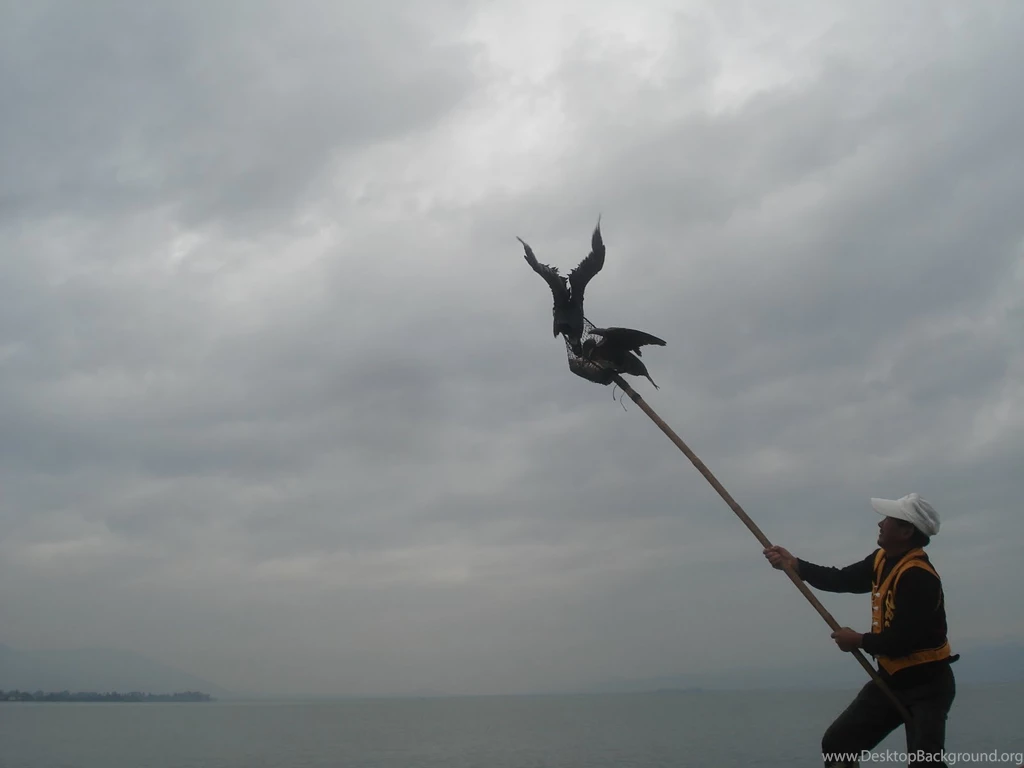 ARNABlog: Gone Fishing