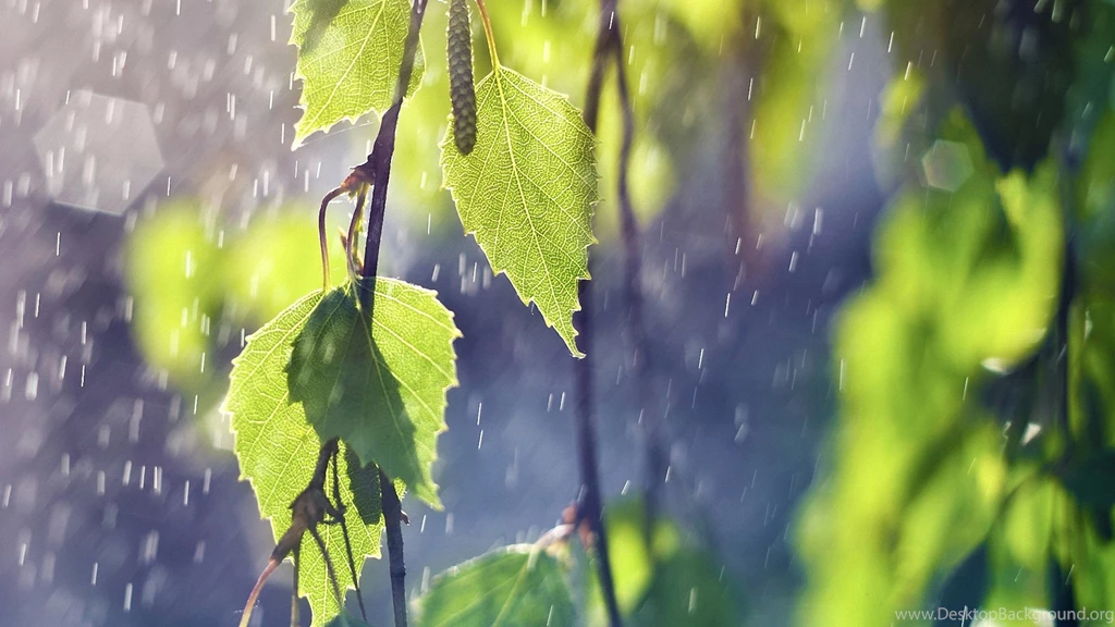 Abstract Summer Rain Wallpapers, HD Wallpapers Downloads Desktop Background