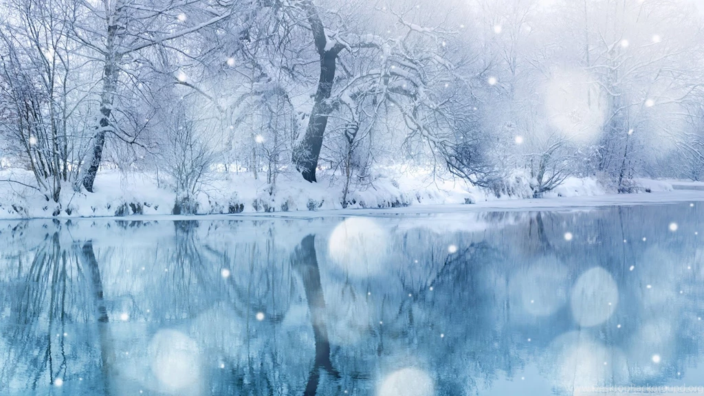 Winter Snowfall HD Desktop Wallpapers : High Definition : Mobile ...