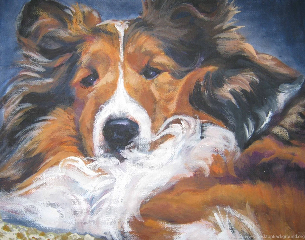Drawn Shetland Sheepdog Photo And Wallpaper. Beautiful Drawn ...