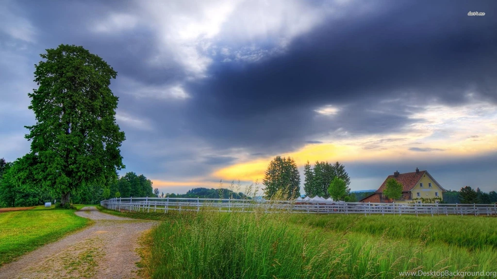 Countryside Road, House, Fence, Grass, Tree, Nature, 1920x1080 HD ...