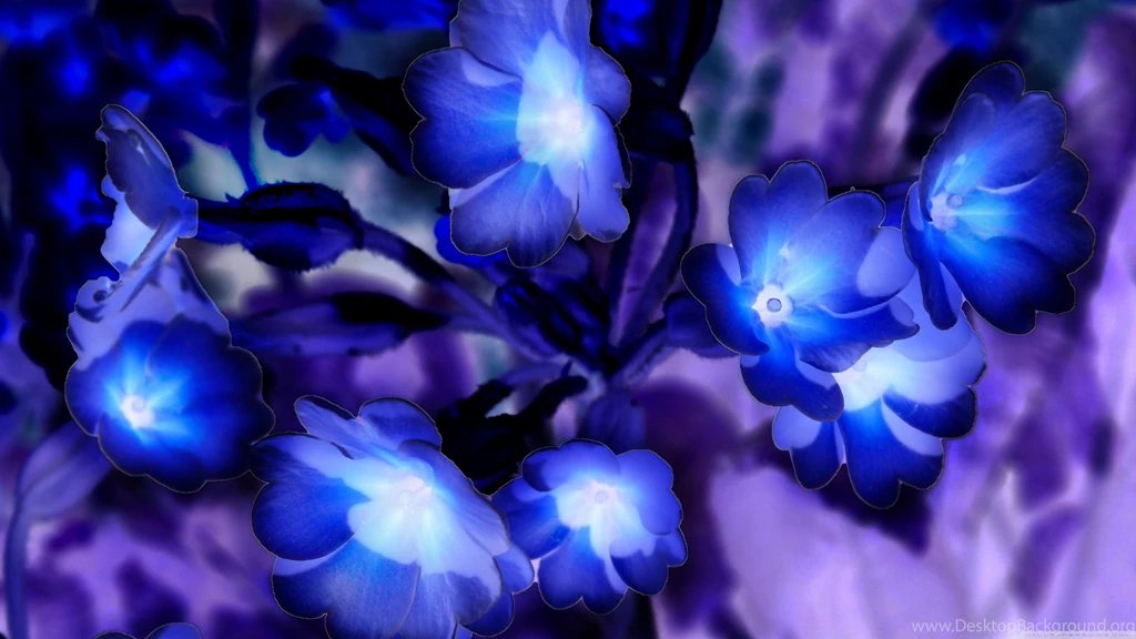 Glowing Flowers Inspired By Avatar HD Desktop Wallpapers ...