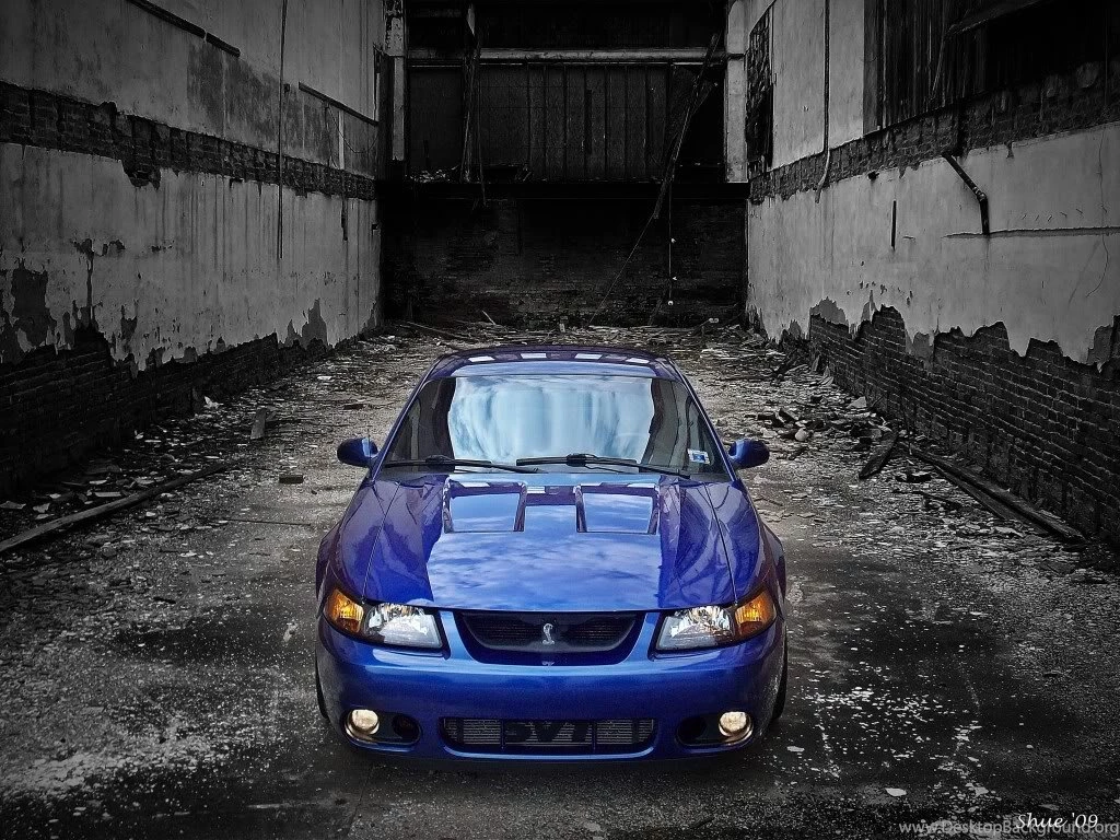 Lets See The Best Pictures Or Videos Of Your Terminator. Page 27