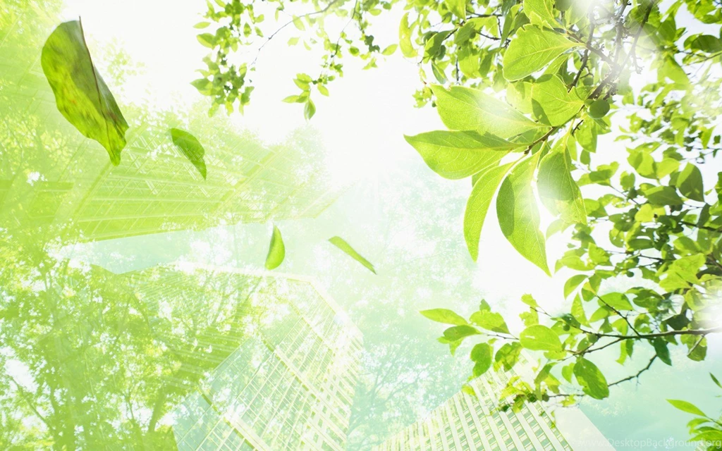 Eco Concept And Photo Manipulation Of Environment And Nature ...