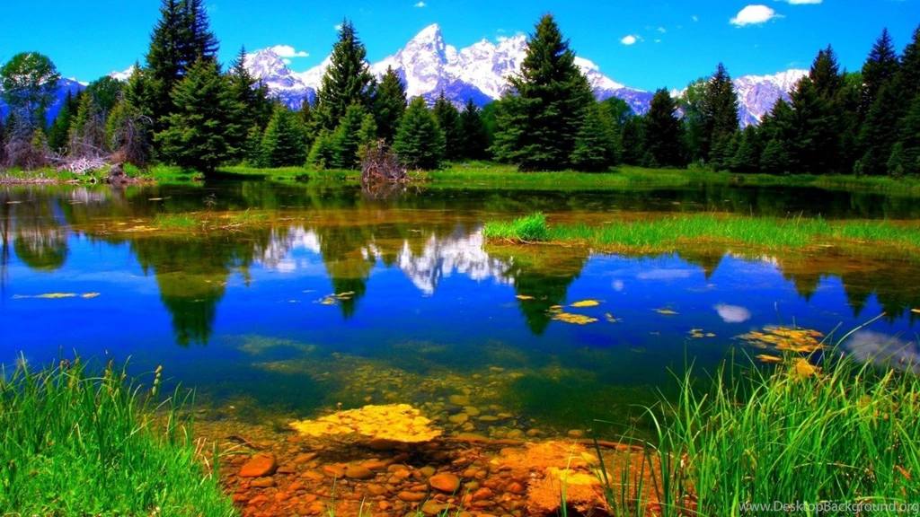 High Quality Nature Wallpapers