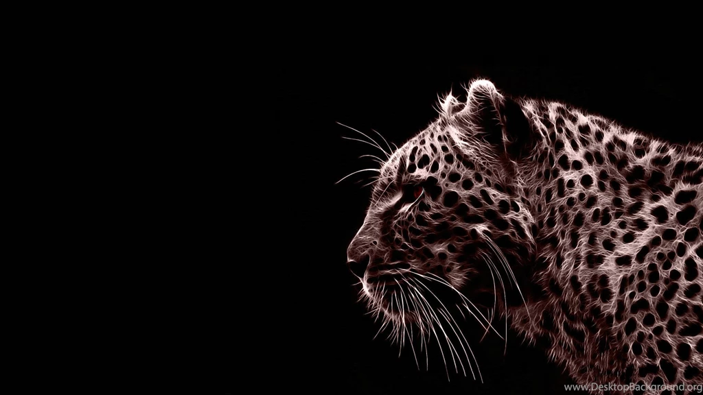 Animals Jaguars 1920×1080 Wallpapers 878358