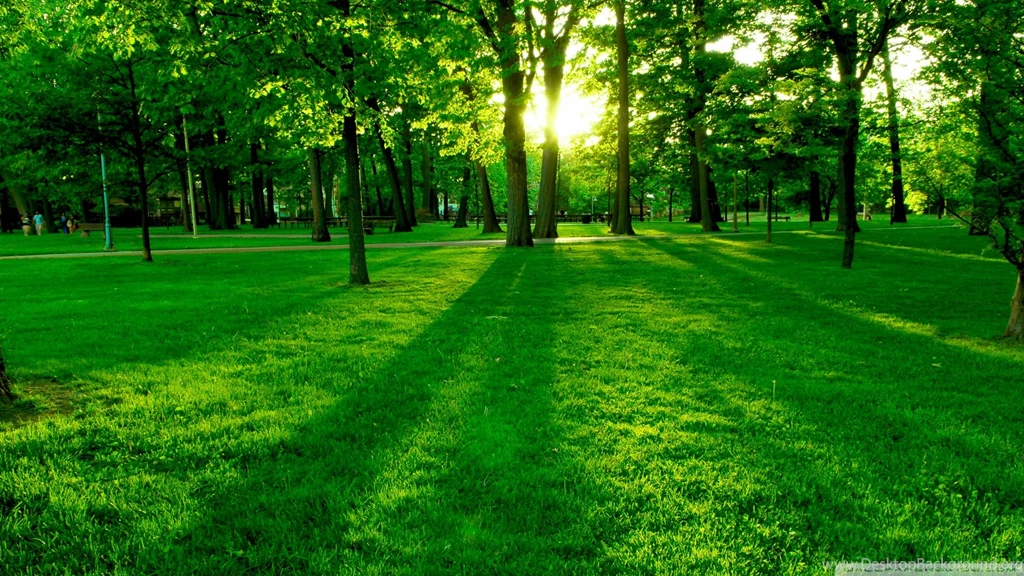 Park_4 wallpaper 1920x1080.jpg