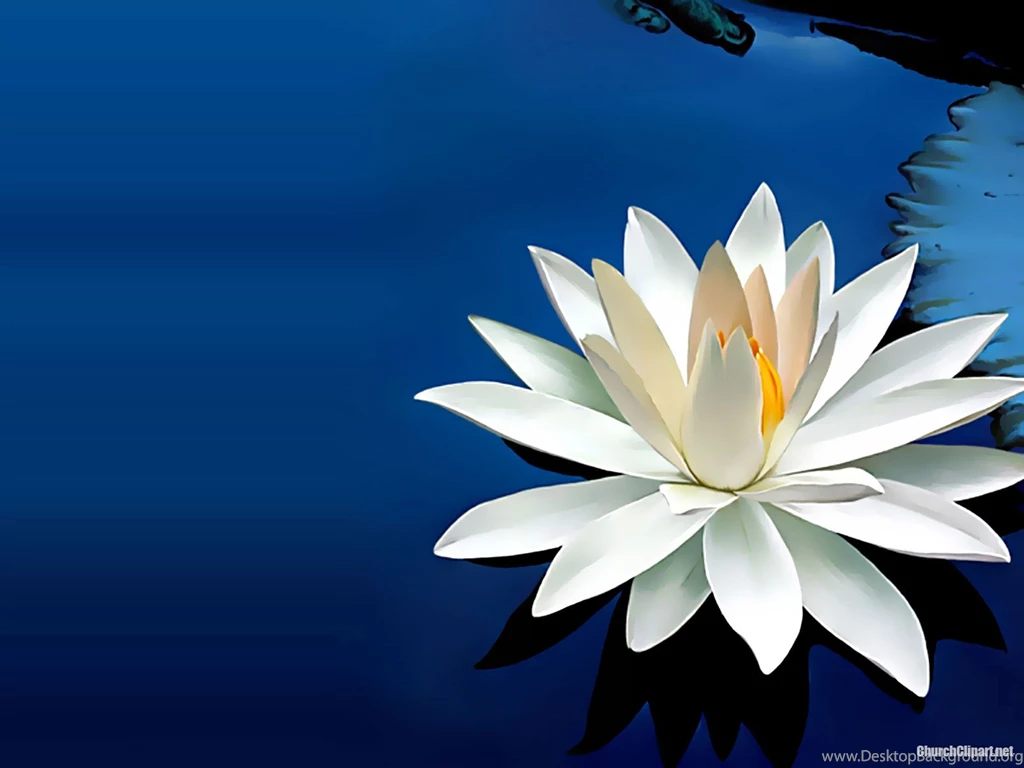 Water Lily Backgrounds For Powerpoint – Church Clipart