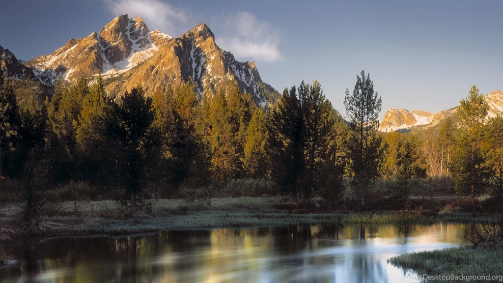 Download Mountains Forest Wallpapers 1920x1080