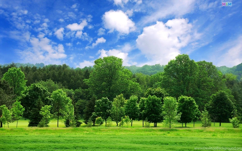 Natural Images Wallpapers 1920x1200px