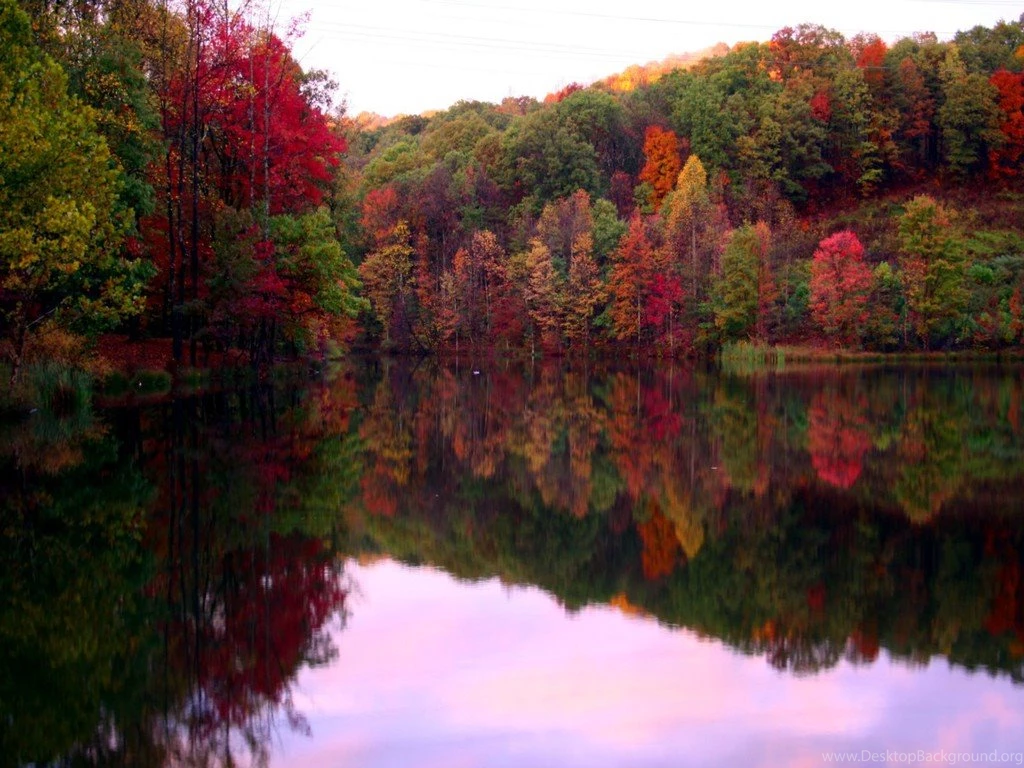 Fall Foliage Wallpapers HD Wallpapers Pretty