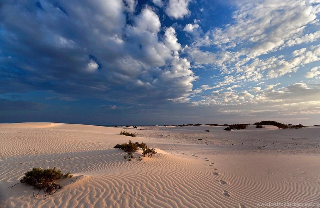 Deserts Wallpapers Page 4: Radial Farm Fields Greengrass Desert ...