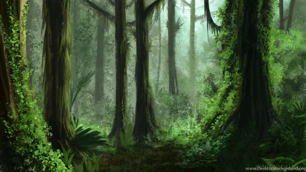Rain Forest Backgrounds Wallpapers Cave