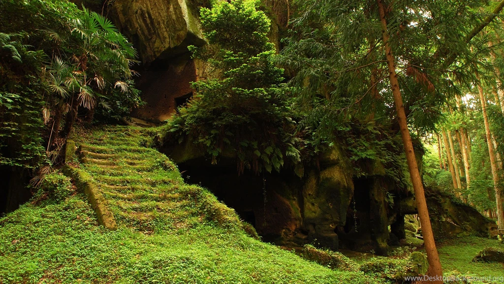 Extra Wallpapers Mystic Forest