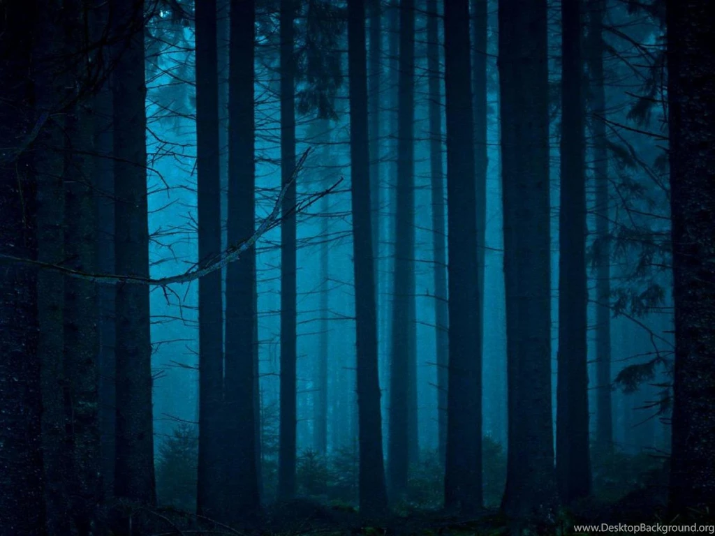 Mystical Forest Desktop Background