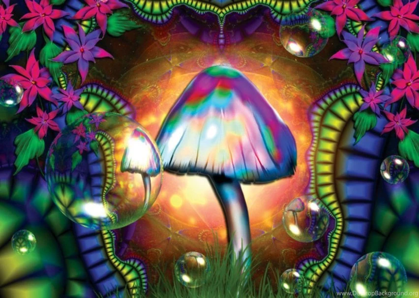 Cool Trippy Mushrooms