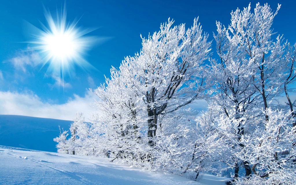 Winter Wallpapers