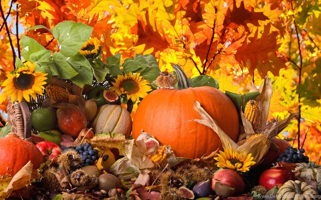 Thanksgiving 2015 Wallpapers Wallpapers Cave