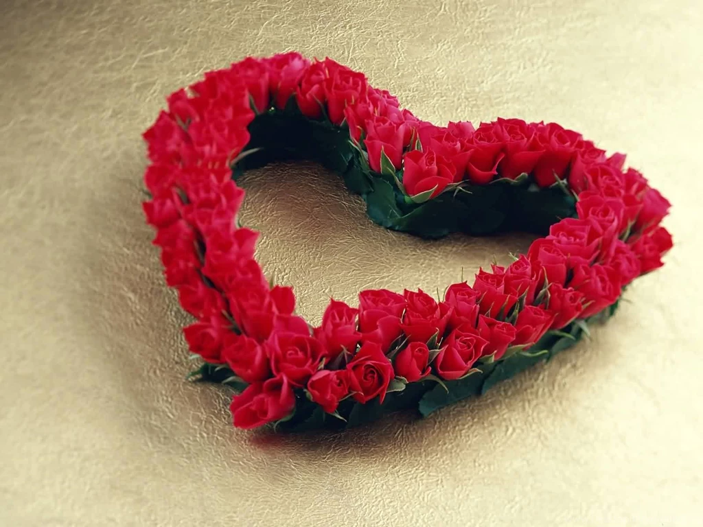 Red Rose Wallpapers