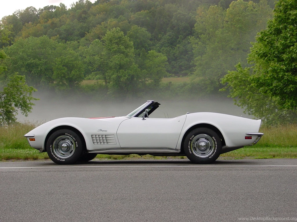 Chevrolet Corvette C3 Picture