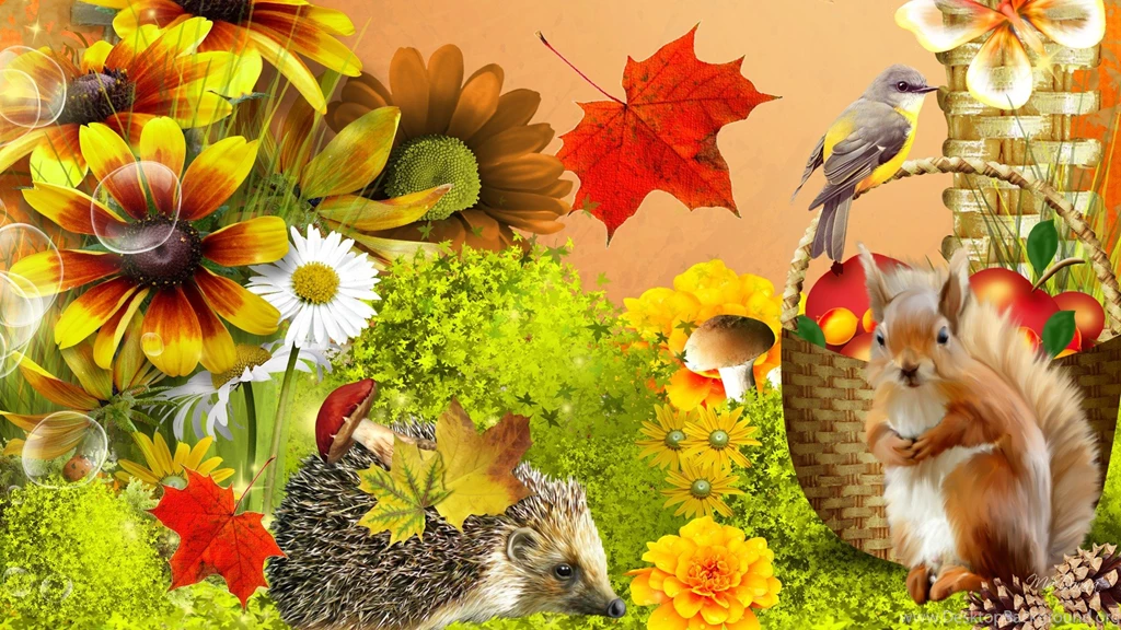 Autumn Flower Wallpapers