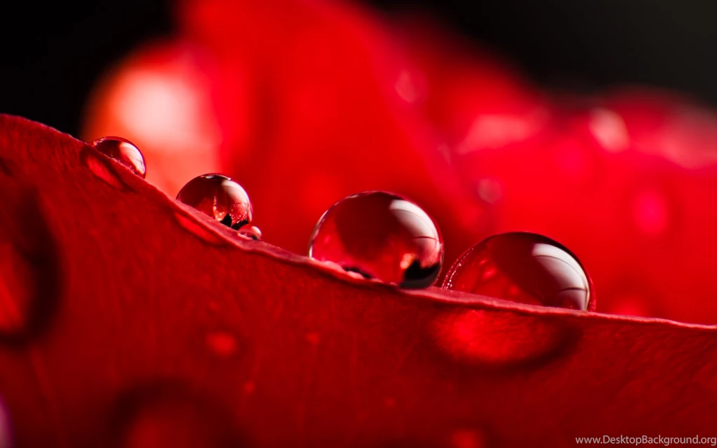 Wallpapers Waterdrops Extraordinary 1920x1200