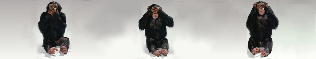 Three Wise Monkeys Wallpapers