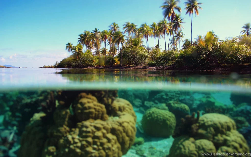 Most Beautiful Wallpapers Wallpapers Zone