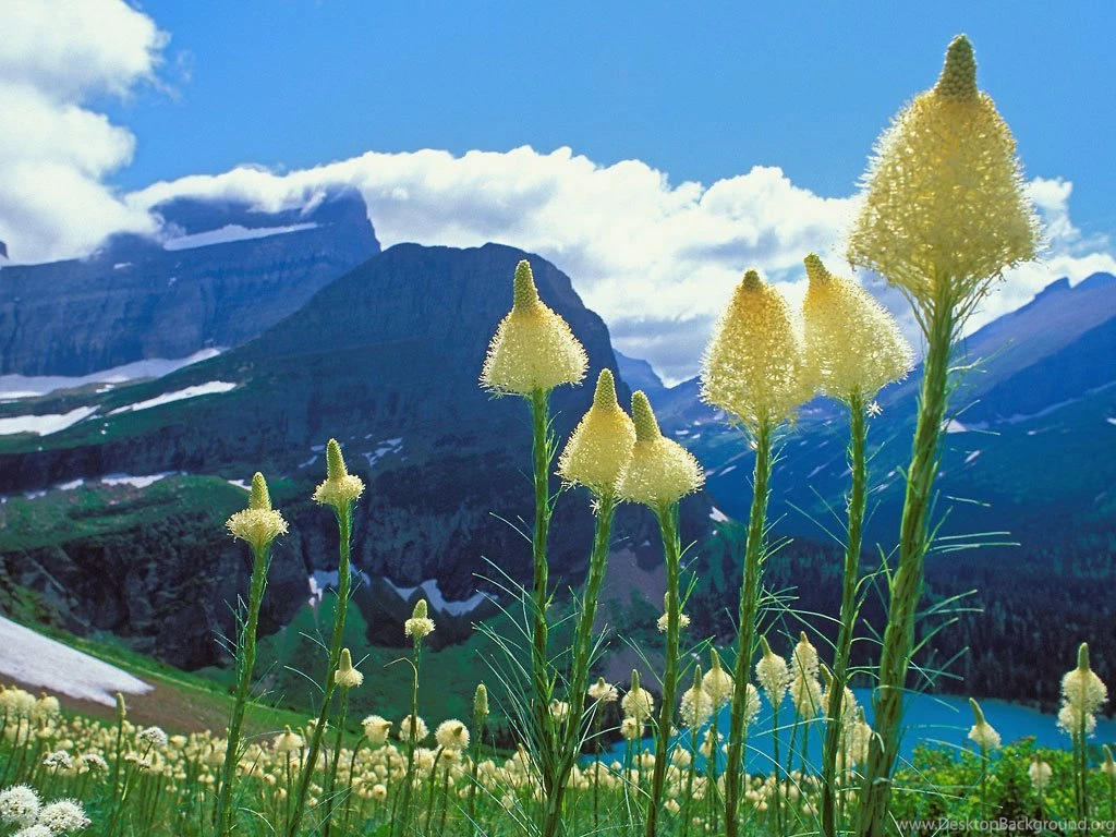 Pretty Nature Pictures HD Wallpapers Pretty