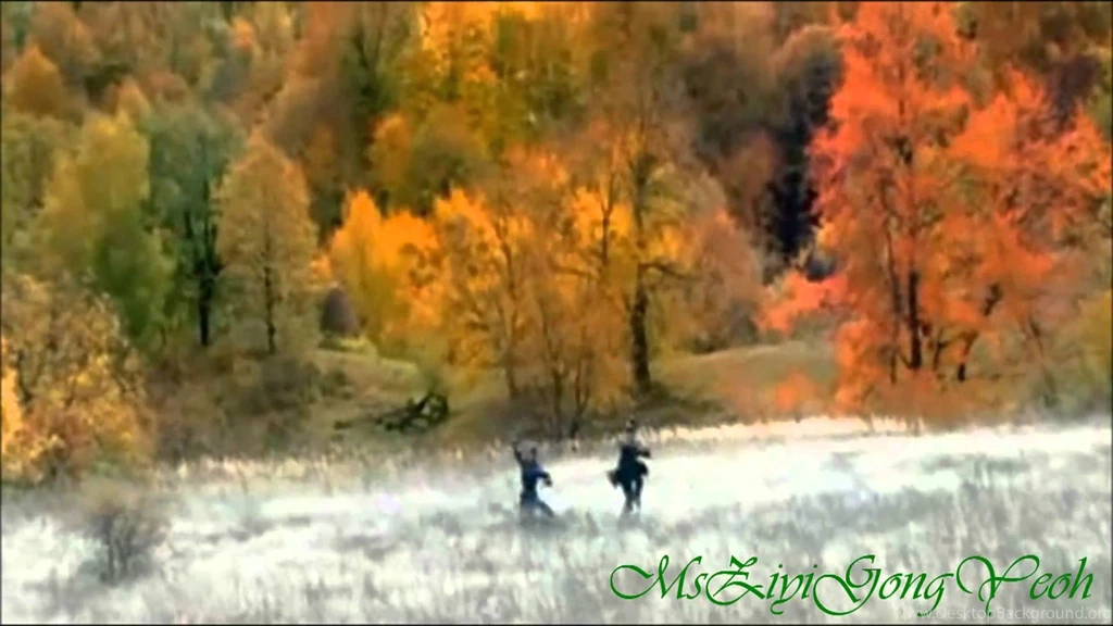 House Of Flying Daggers (Takeshi Kaneshiro) HD YouTube