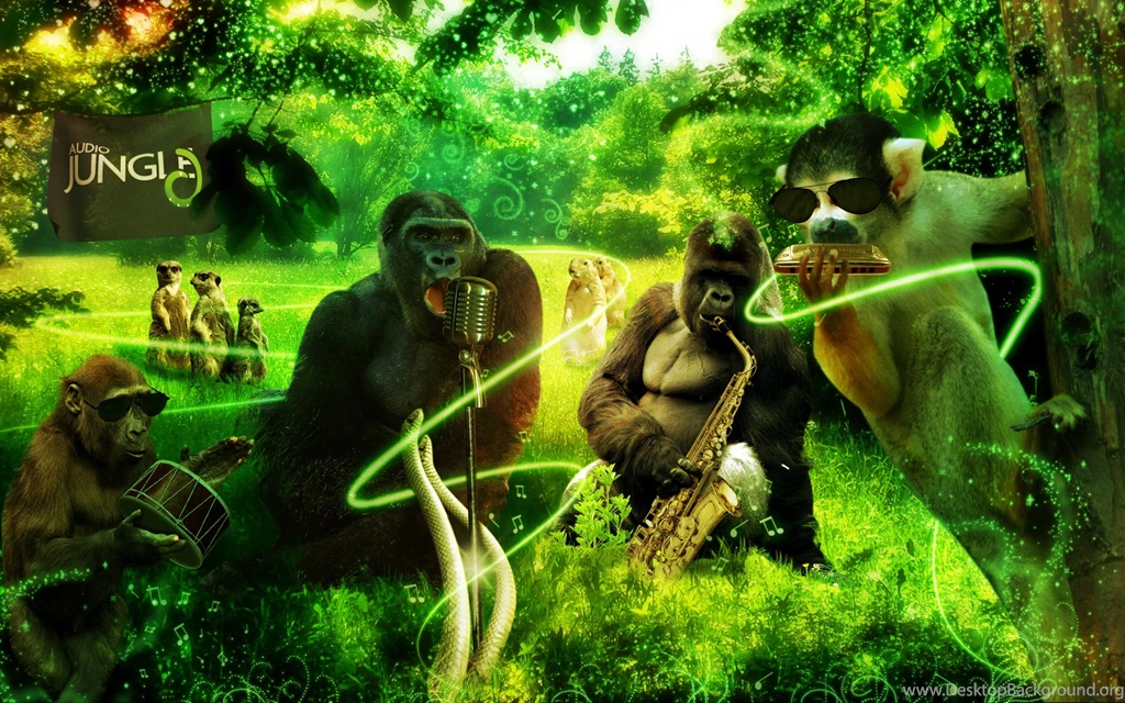 Jungle Animals Music 3d Art Gorilla Monkey Meerkat Wallpapers ...