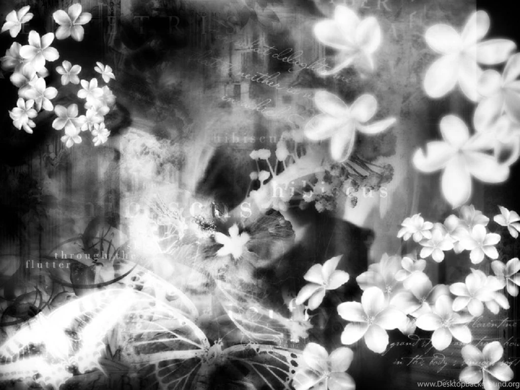 Cool Black And White Backgrounds Wallpapers Cave
