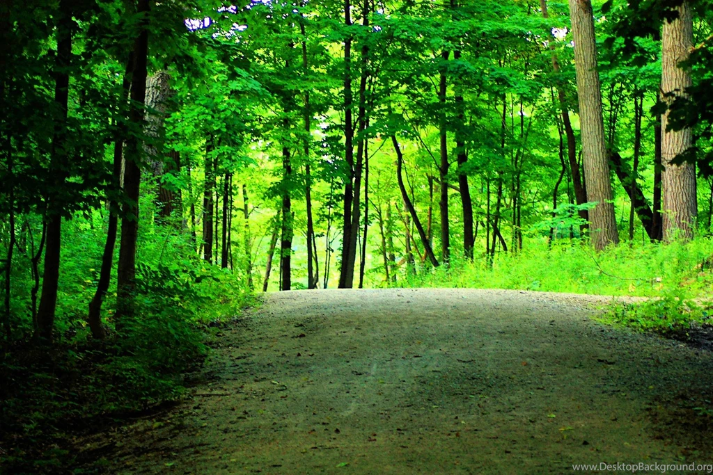 Wood Wallpapers Hd Wallpapers ›› Page 0