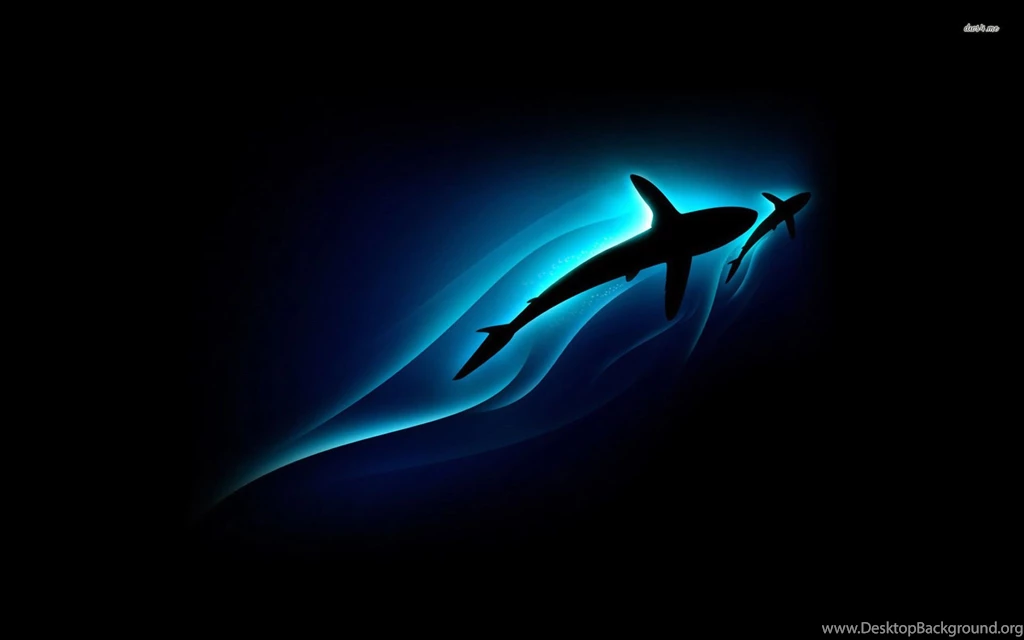 Sharks Wallpapers Wallpapers Cave