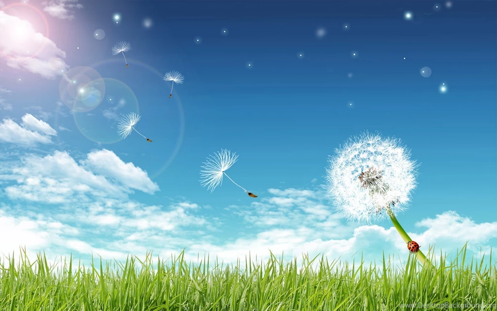 PC Wallpapers Hd Desktop Backgrounds