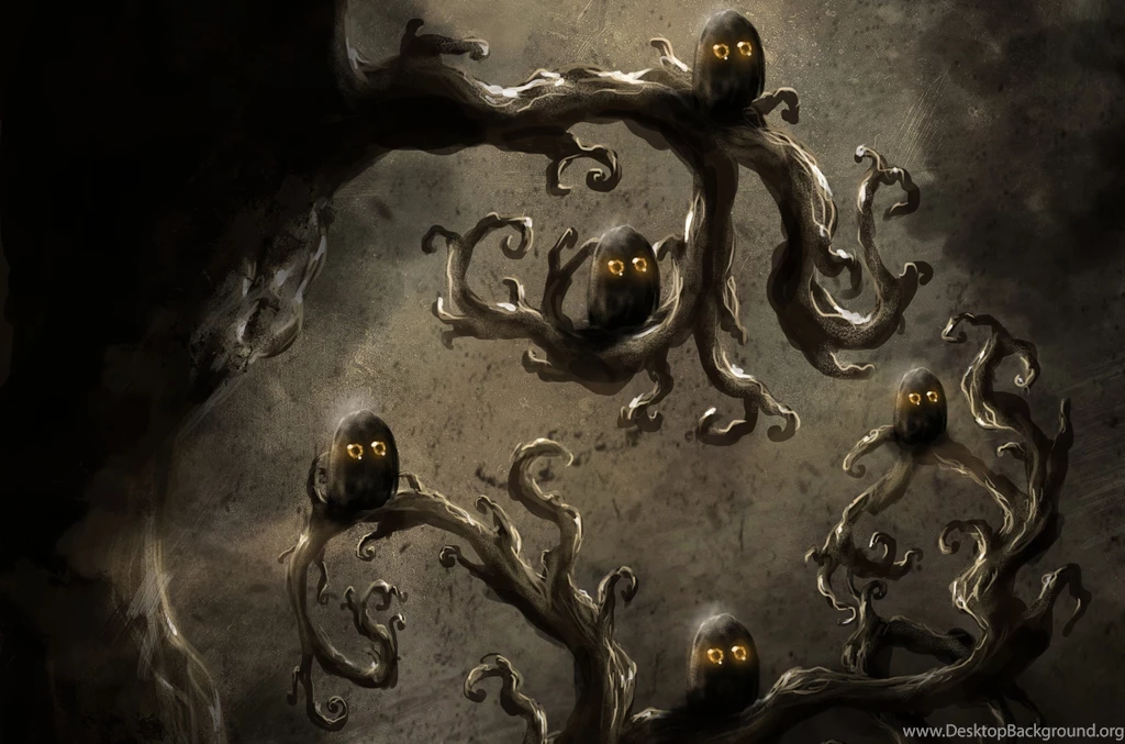 141 Owl HD Wallpapers