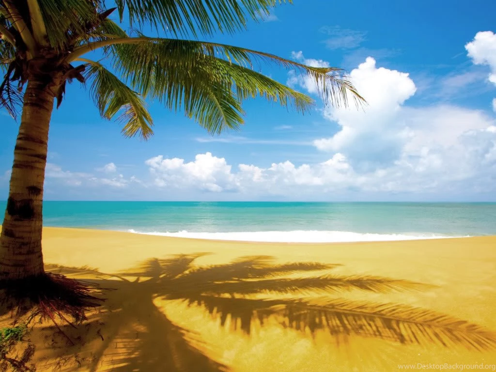 Wallpapers Vv The Best Top Beach Hd 1024x768