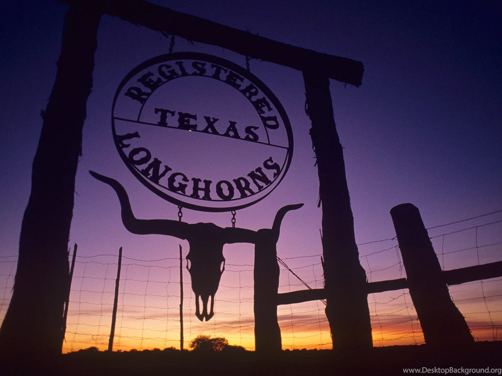 Texas Wallpapers Collection (39+)