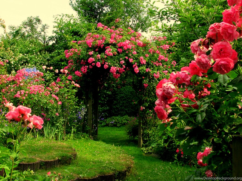 Rose Garden Wallpapers HD Wallpaper Backgrounds Of Your Choice
