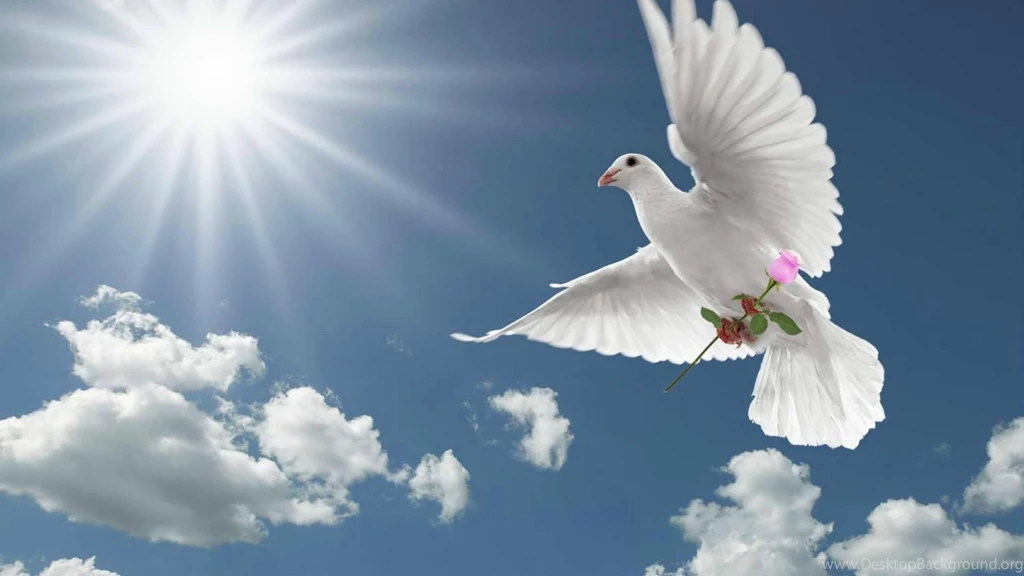 Dove Special Delivery (