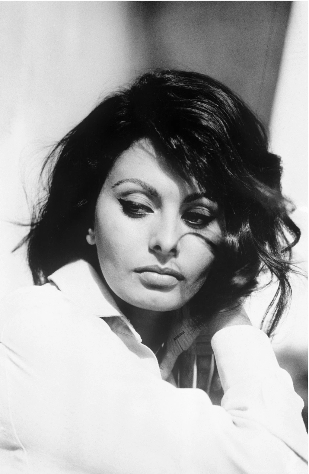 HD Sophia Loren Wallpapers And Photos Desktop Background